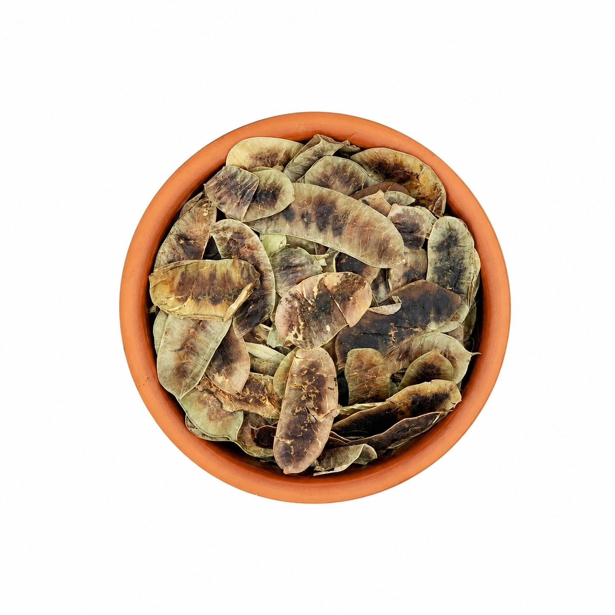 Açlık Otu 250 gr