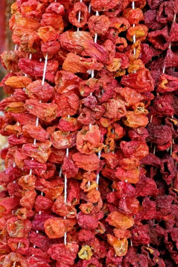 Acı Dolmalık Biber Kurusu 1 Bağ(45-50 Adet)